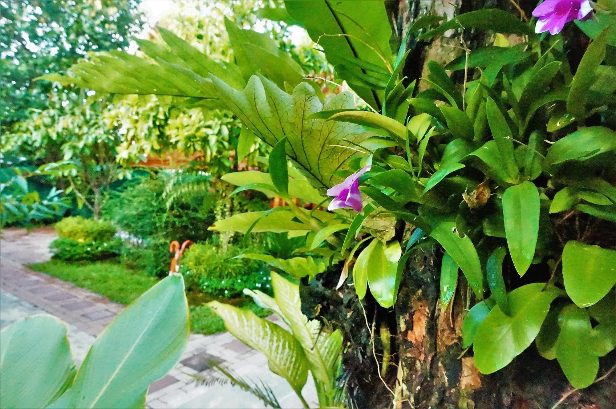 Hébergement de vacances Ruen Tai Boutique Phuket